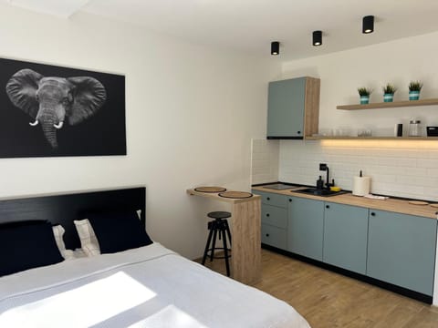 Perfect cube Apartment in Novi Sad