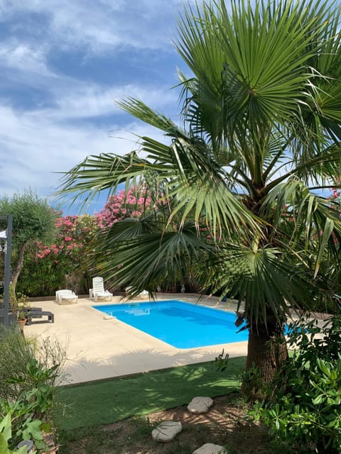 Garden, Garden view, Pool view, sunbed