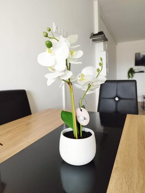 Parisian Cosy flat with Balcony Apartment in Île-de-France