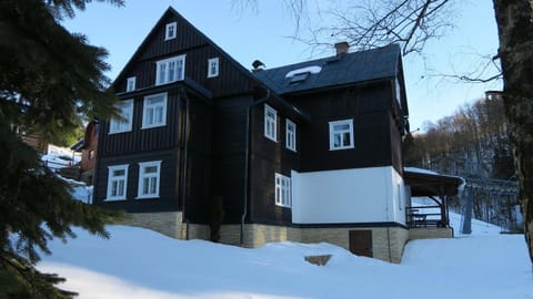 Property building, Facade/entrance, Winter, Garden