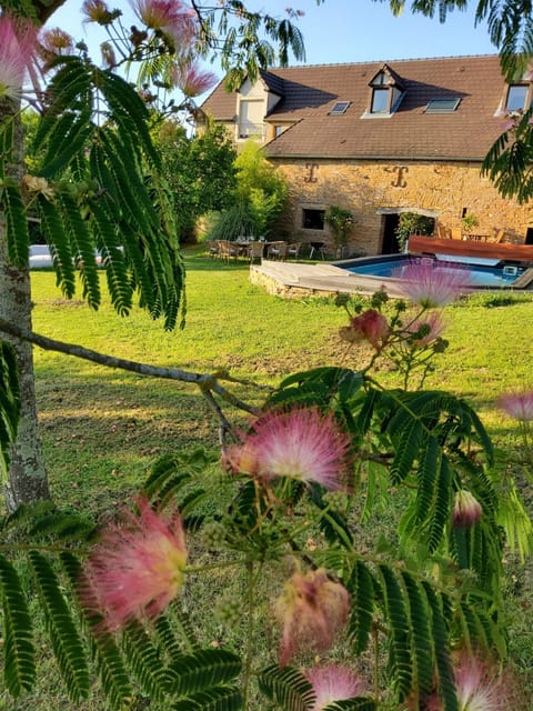 Restaurant/places to eat, Garden view