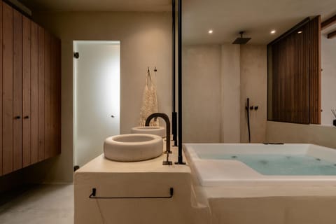 Shower, Hot Tub, Bathroom, wardrobe