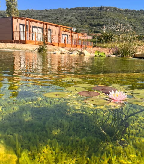 Natural landscape, Lake view