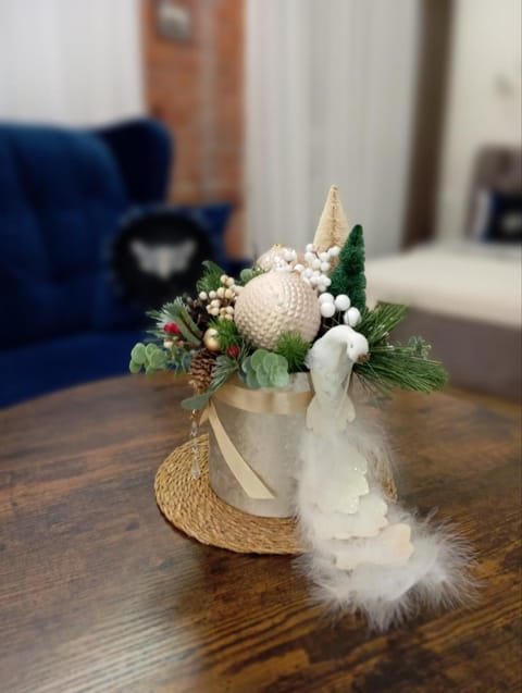 Old street apartment Apartment in Lithuania