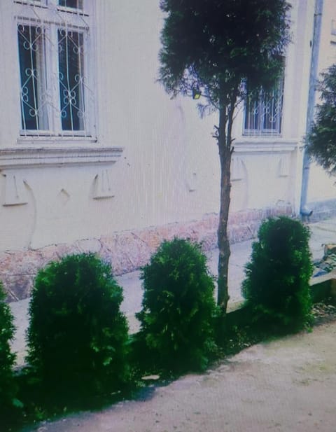 Mrvica Apartment in Serbia