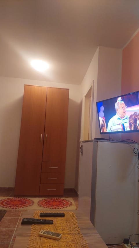 Mrvica Apartment in Serbia