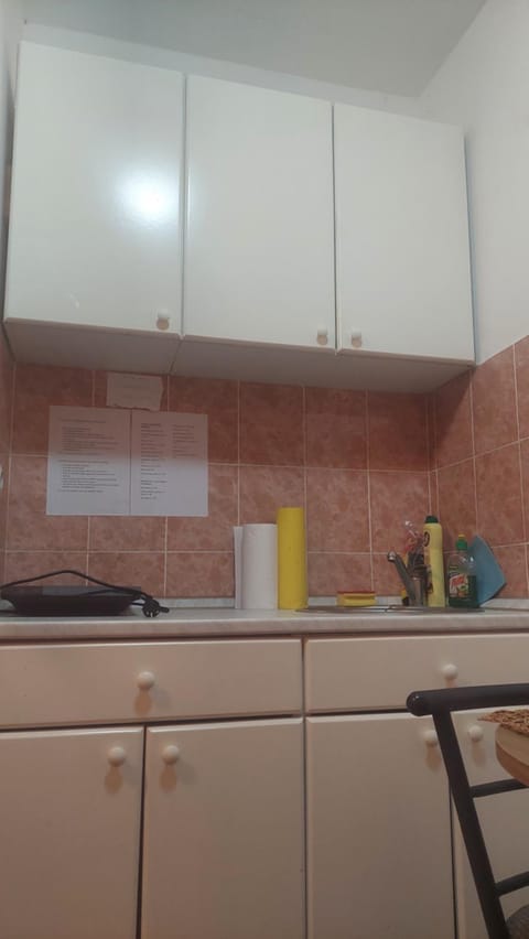 Mrvica Apartment in Serbia