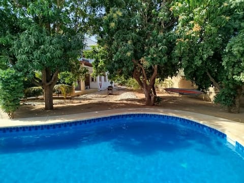 Garden, Swimming pool