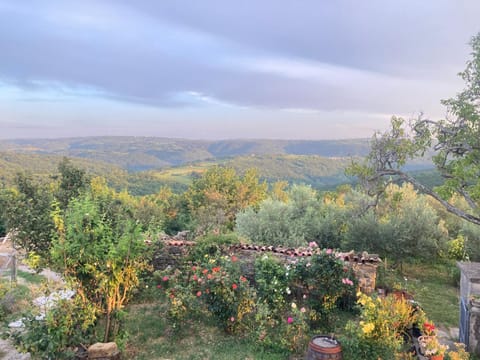 Spring, Garden view