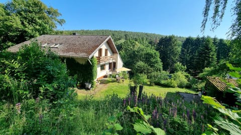 Property building, Natural landscape, Garden