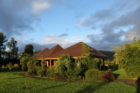 Property building, Garden, On site
