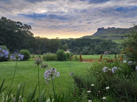 Garden, Garden view, Mountain view