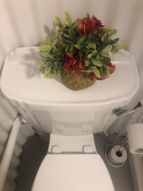 Bob’s Cabin Cabin in County Galway