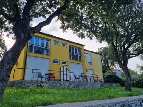 Property building, Garden view