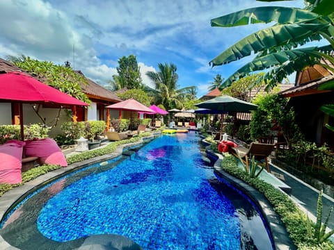 Garden, Garden view, Pool view, Swimming pool, sunbed