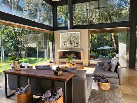 Seating area, fireplace