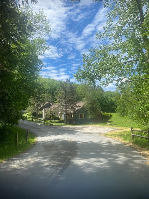Cozy Ski in out Cabin in Berkshire Resort Cabin in Lanesborough