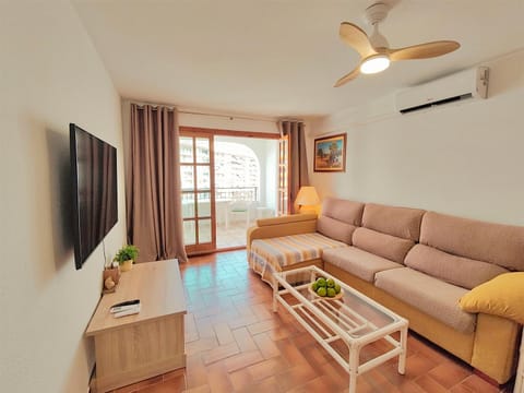TV and multimedia, Balcony/Terrace, Living room, air conditioner