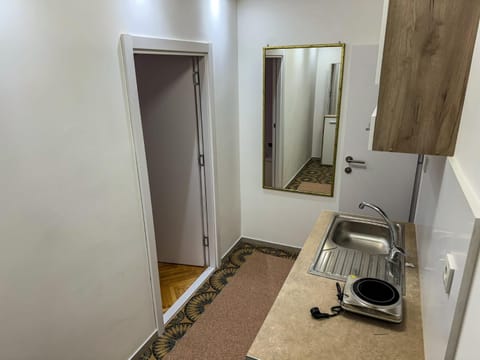 Mirror Apartment Apartment in Serbia