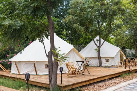 HolaCamp Gandía Campground/
RV Resort in Daimús