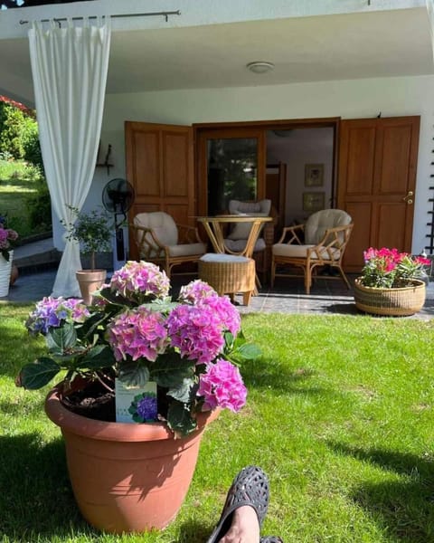 Patio, Spring, Day, Garden, Seating area, Garden view