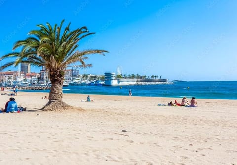 Nearby landmark, Day, Natural landscape, Beach