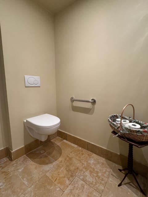Toilet, Facility for disabled guests