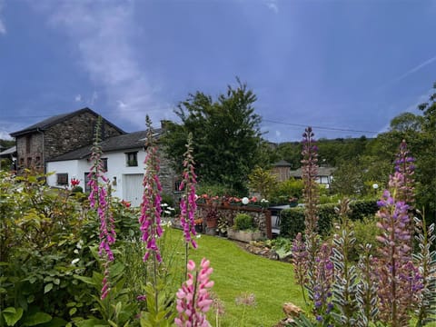 Property building, Summer