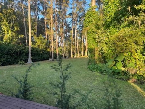 Linda Vista Lakehouse House in Lake Magdalene