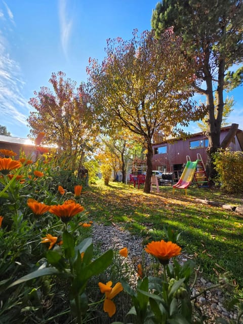 Garden, Garden view, Sunset