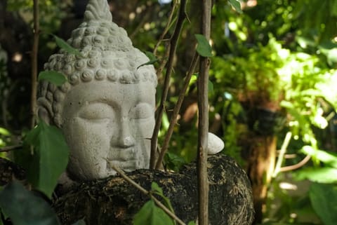 Day, Garden, Decorative detail