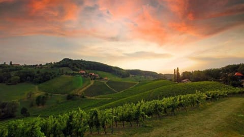 Natural landscape, Sunset