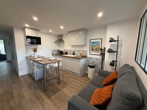 Kitchen or kitchenette, Living room, Seating area, Dining area, stove, toaster