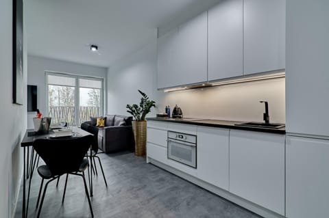 Apartament Sztuk Pięknych 4 Apartment in West Pomeranian Voivodeship, Poland