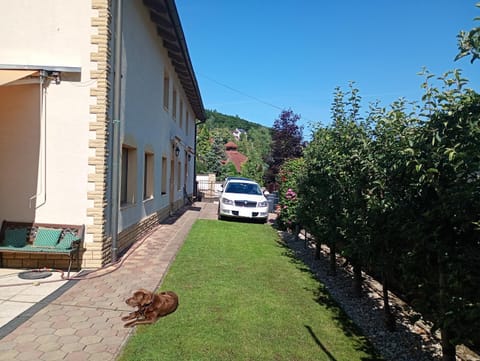 Property building, Neighbourhood, Parking