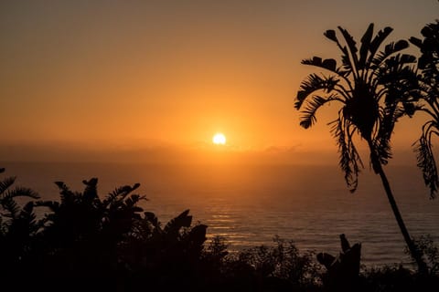 Natural landscape, Sea view, Sunrise