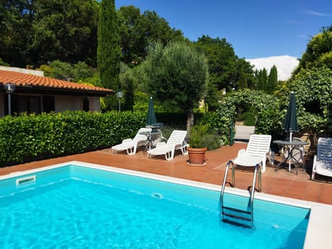 Garden, Pool view, Swimming pool, sunbed