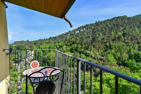 Spring, Day, Natural landscape, View (from property/room), Balcony/Terrace, Mountain view