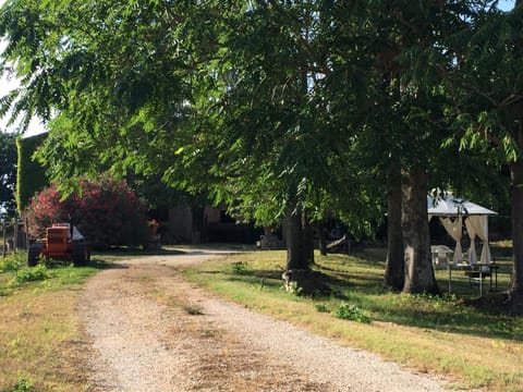 Facade/entrance, Garden