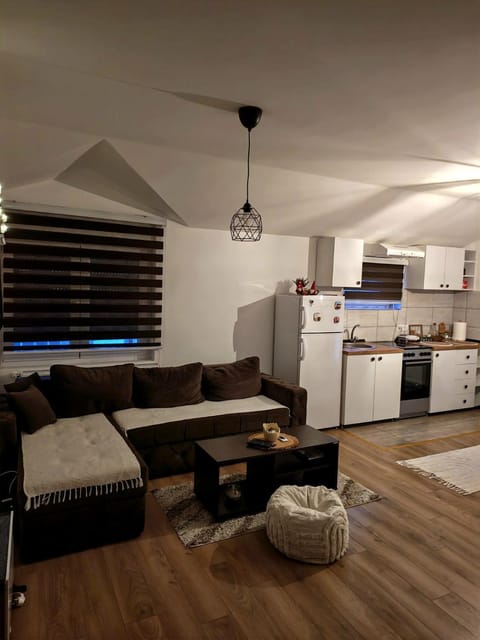 Apartman Tara Apartment in Serbia