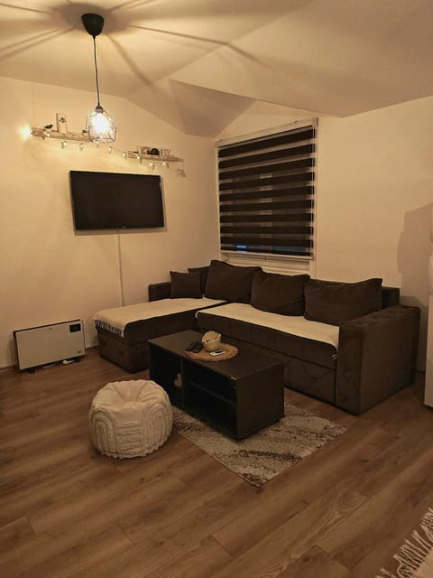 Apartman Tara Apartment in Serbia