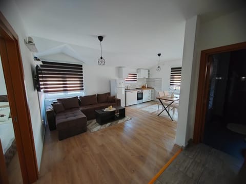 Apartman Tara Apartment in Serbia
