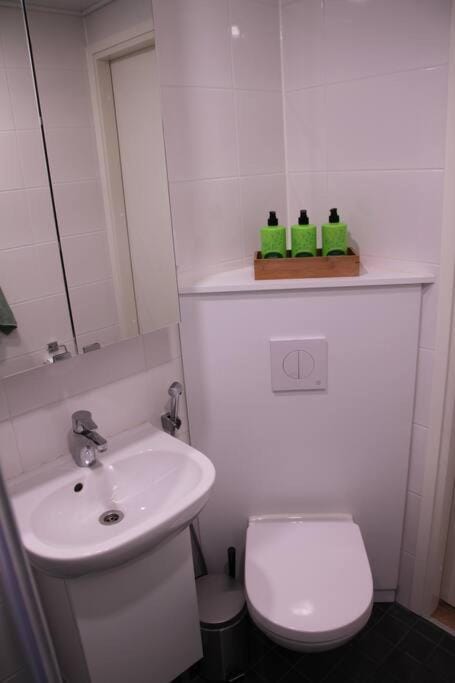 Kodikas hyvin varusteltu yksiö, autopaikalla Apartment in Helsinki