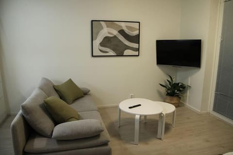 Kodikas hyvin varusteltu yksiö, autopaikalla Apartment in Helsinki