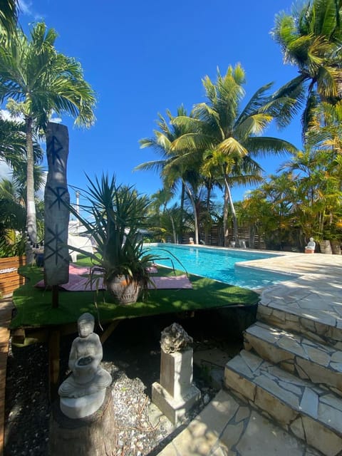 Garden, Swimming pool, sunbed