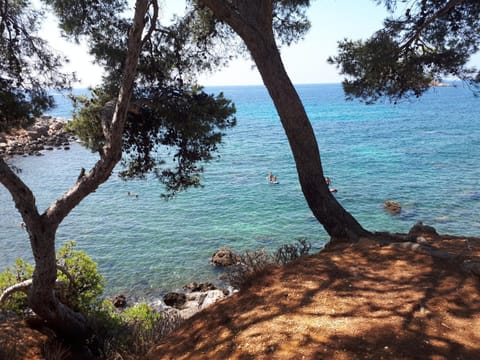 Natural landscape, Snorkeling
