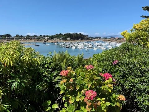 Résidence V50-perros Guirec - Villa vue mer sur le port de Ploumanac'h MAE-4134 Apartment in Perros-Guirec