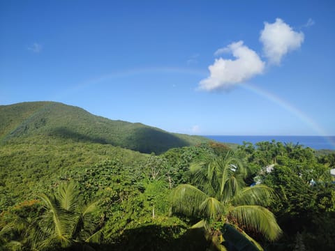 Natural landscape, Mountain view, Sea view