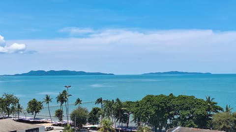 Natural landscape, Bird's eye view, Balcony/Terrace, Sea view