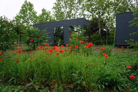 Property building, Spring, Day, Natural landscape, Garden, Garden view, Garden view